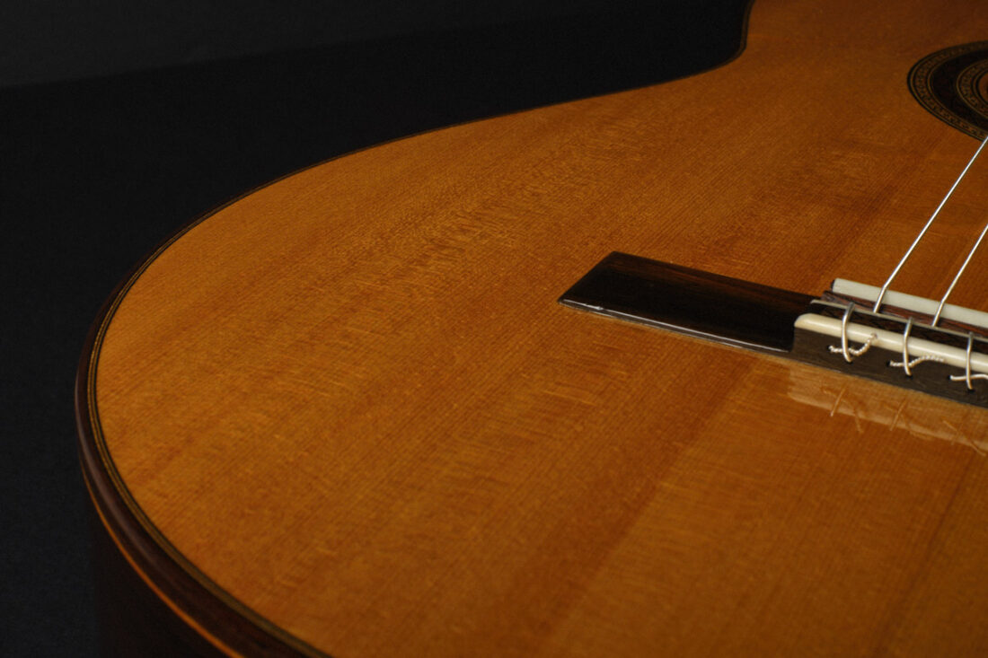 Paula Lazzarini 2023 Guitar Elevated Fingerboard