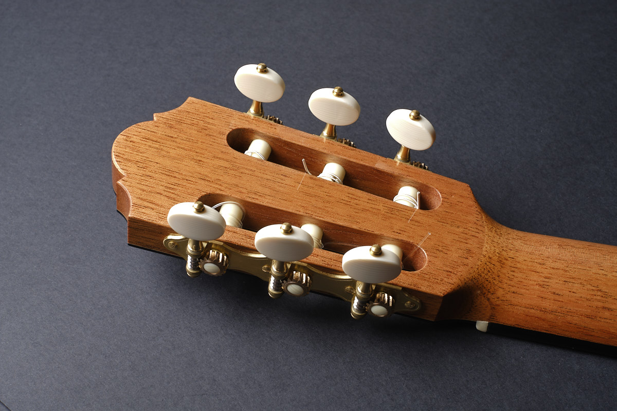 Angelo Vailati 2026 Classical Guitar “Hommage a Simplicio”available at MaderaGuitarras.com