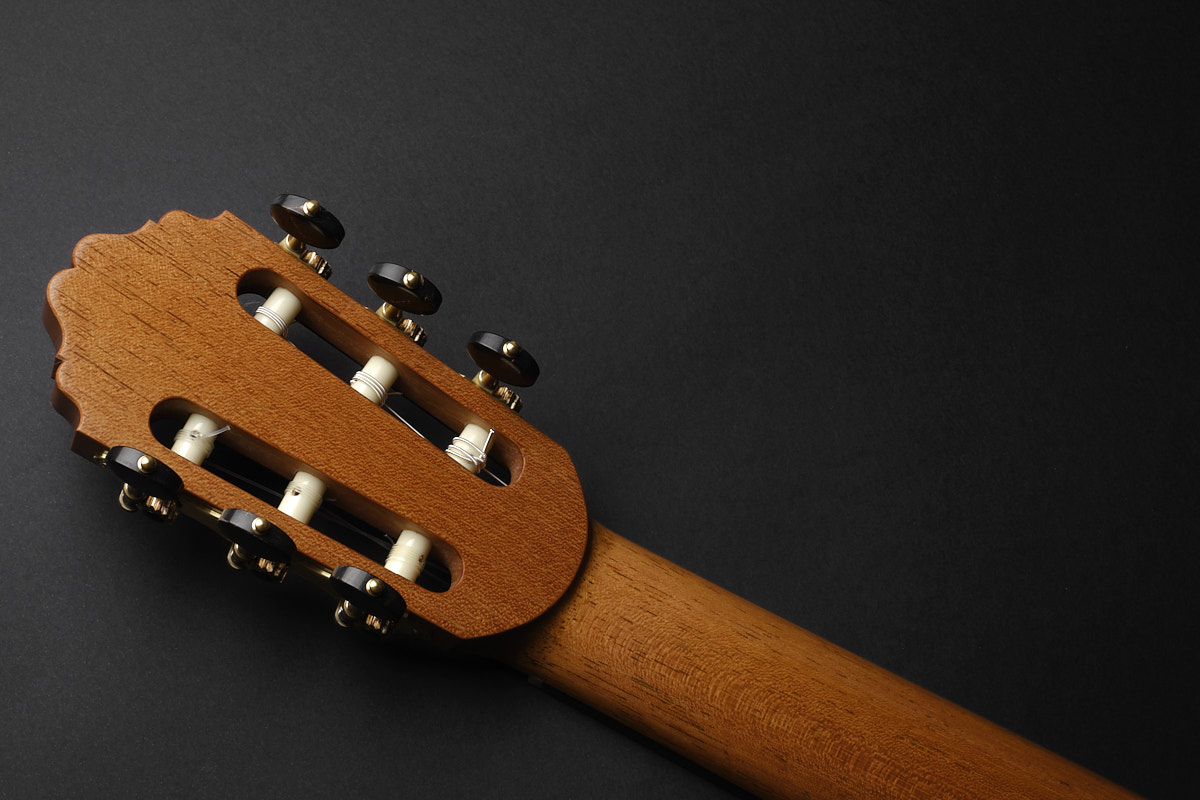 Bertrand Ligier 2026 guitar for sale Classical Guitar Dominique Field Daniel Friederich Jean Noel Rohe
