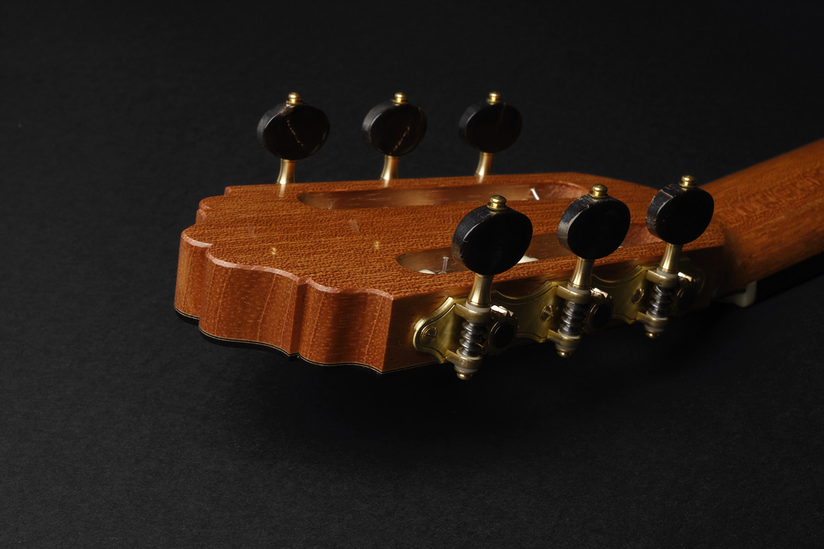 Bertrand Ligier 2026 guitar for sale Classical Guitar Dominique Field Daniel Friederich Jean Noel Rohe