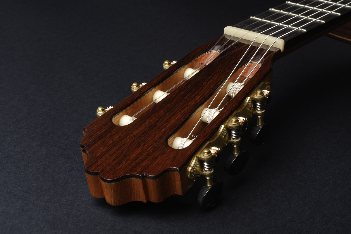 Bertrand Ligier 2026 guitar for sale Classical Guitar Dominique Field Daniel Friederich Jean Noel Rohe