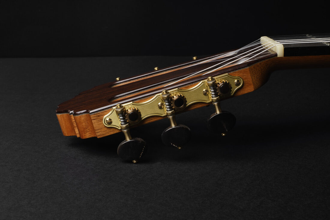 Bertrand Ligier 2026 guitar for sale Classical Guitar Dominique Field Daniel Friederich Jean Noel Rohe