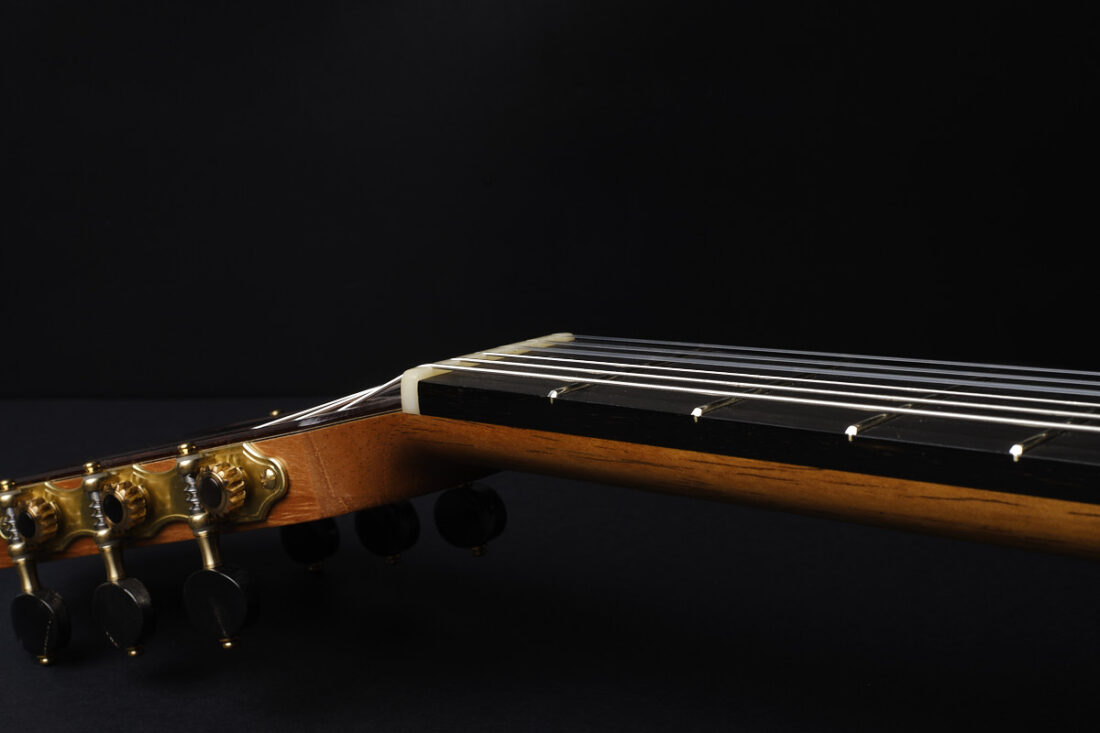 Bertrand Ligier 2026 guitar for sale Classical Guitar Dominique Field Daniel Friederich Jean Noel Rohe